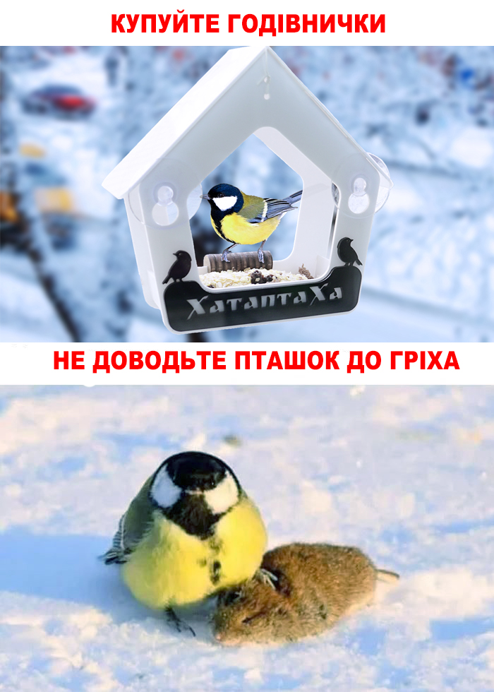 Синичка, годівничка для птахів купити Україна