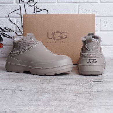 Купить Резиновые сапоги UGG Tasman X бежевые фото, в интернет-магазине обуви Nanogu.com.ua Днепр, Киев, Полтава, Чернигов, Харьков, Запорожье, Украина